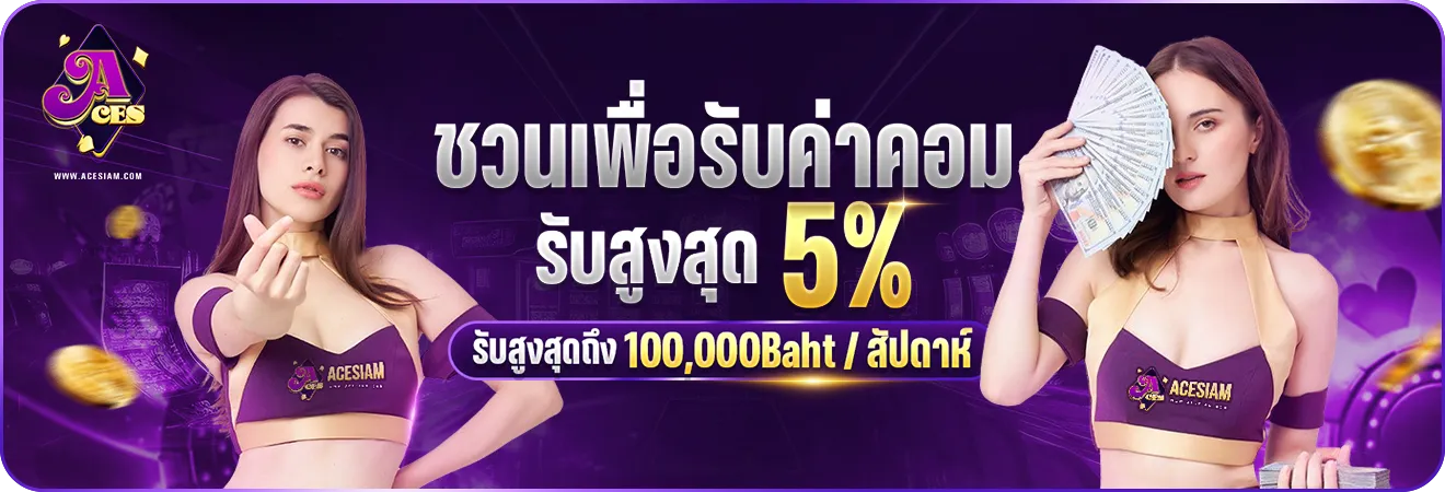 acesiam ทางเข้า