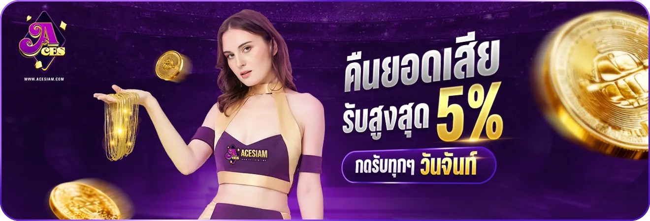 acesiam ทางเข้า