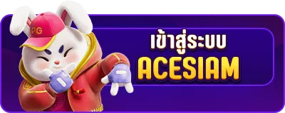 เข้าสู่ระบบ by acesiam